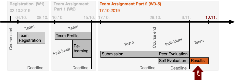 Timeline Team Task
