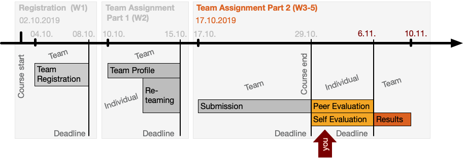 Timeline Team Task